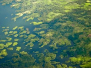 Darien-Gap